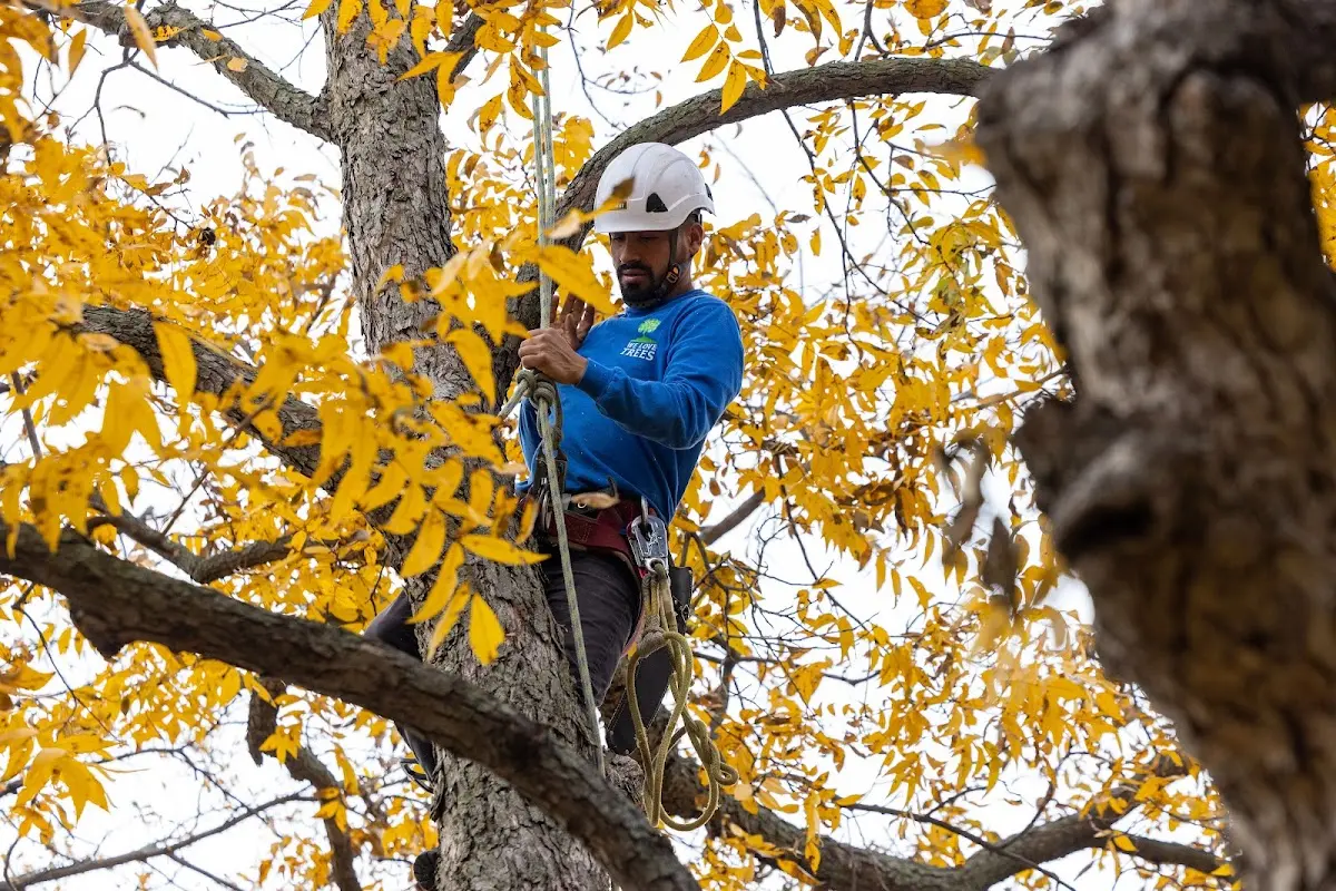 Skilled Storm Damage Cleanup crew working in Newark