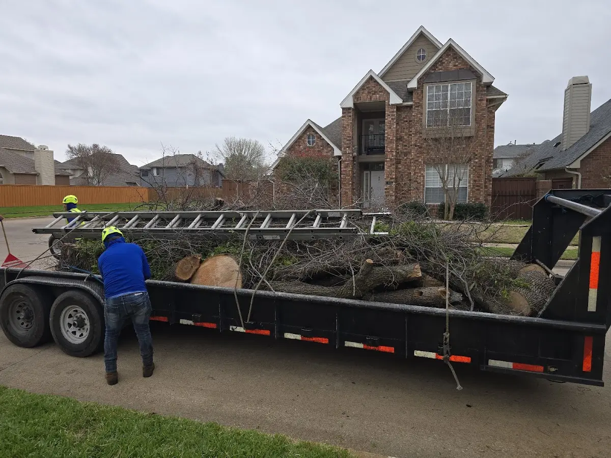 Expert Lot Clearing with proper safety equipment in Newark